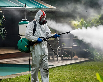 Our Pest Services
